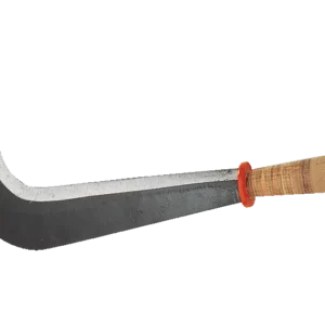 Serpe suisse, 43 cm